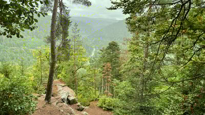 Nachhaltigkeit
